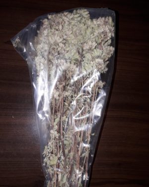 origano di sicilia 50gr