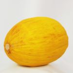 melone gialletto