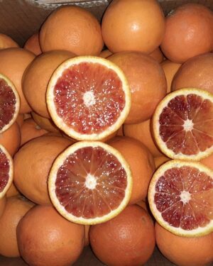 arance da spremuta  tarocco  piccoli 48kg