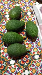 AVOCADO HASS- COLTIVATO IN SICILIA